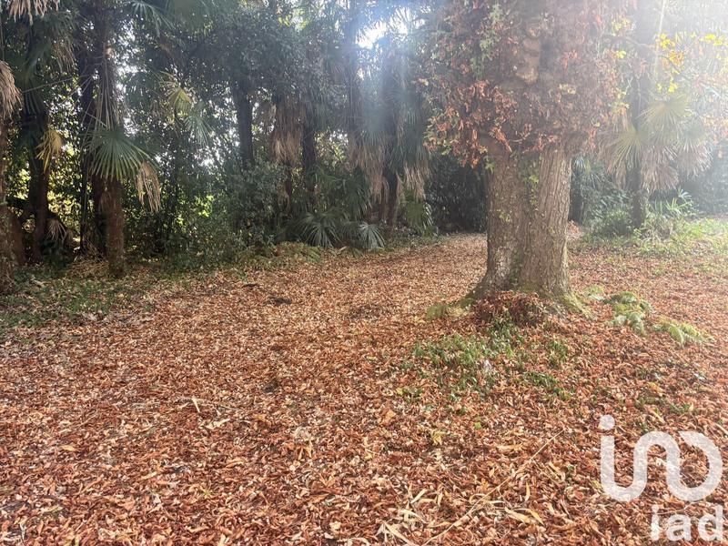 Maison - 300 m² - 10 pièces