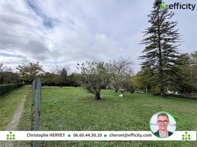 Terrain - 1 650 m²