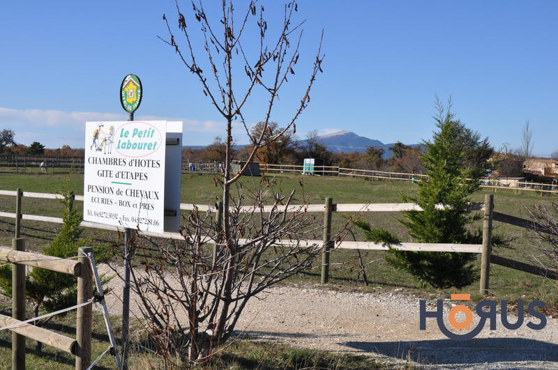 Viager - Maison - 400 m² - 14 pièces