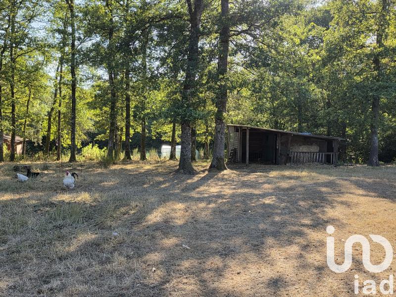 Maison - 203 m² - 6 pièces