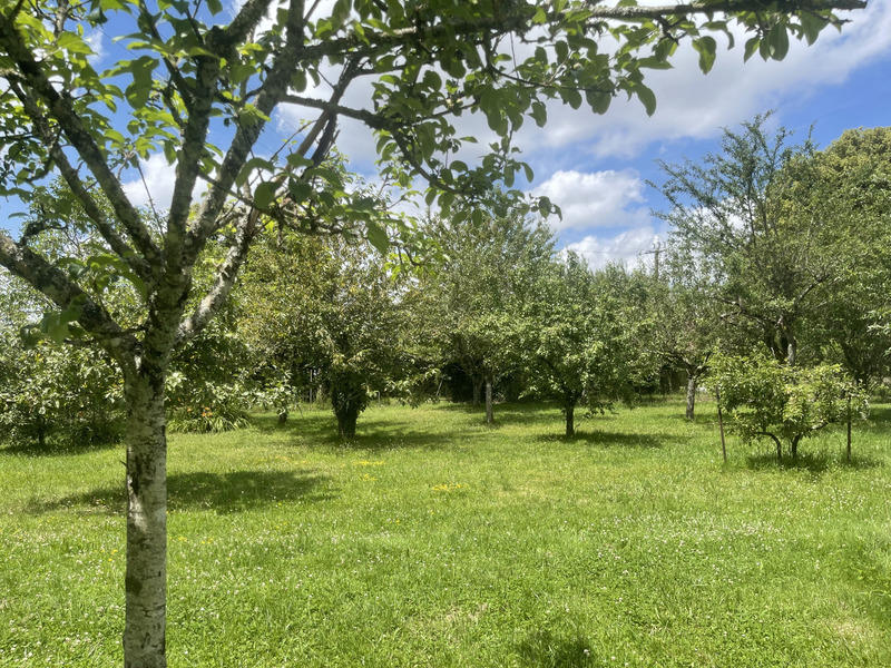 Maison - 124 m² - 7 pièces