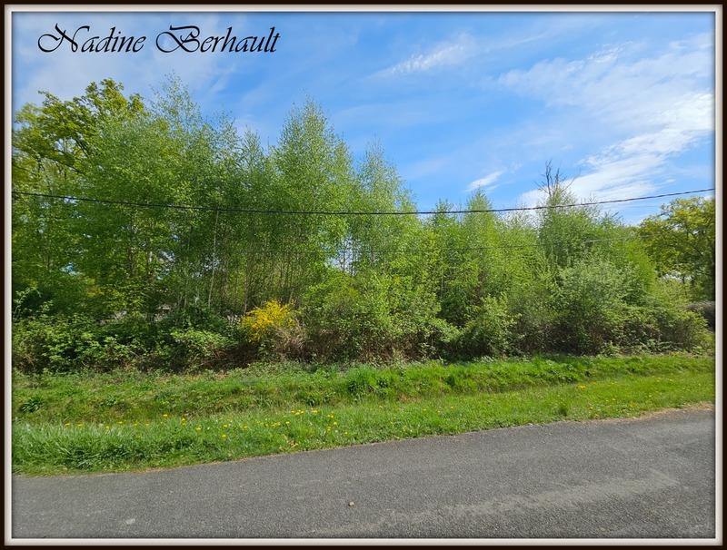Terrain constructible - 3 921 m²