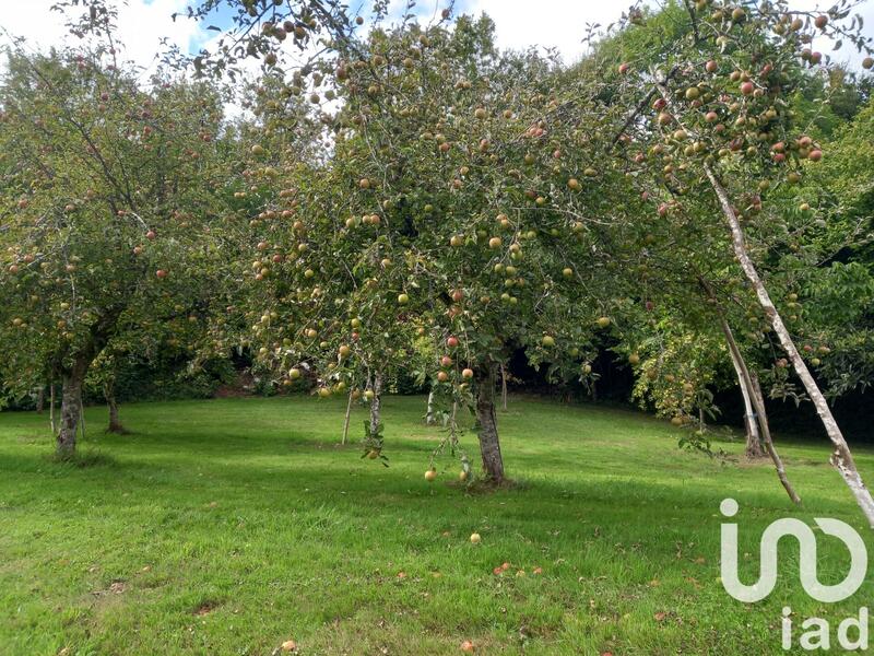 Maison - 117 m² - 5 pièces