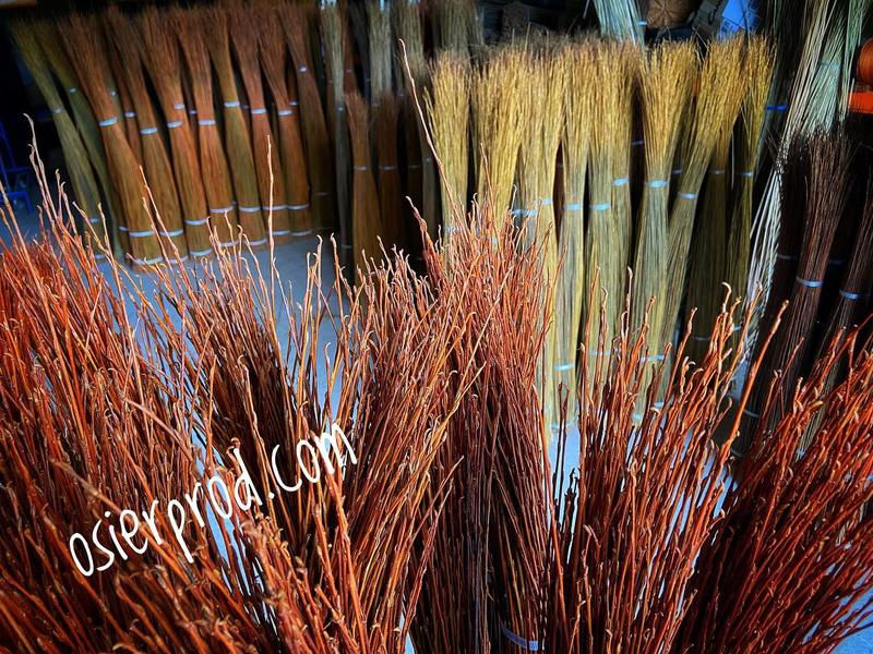 Visite d'une exploitation productrice d'osier "l'entretien"