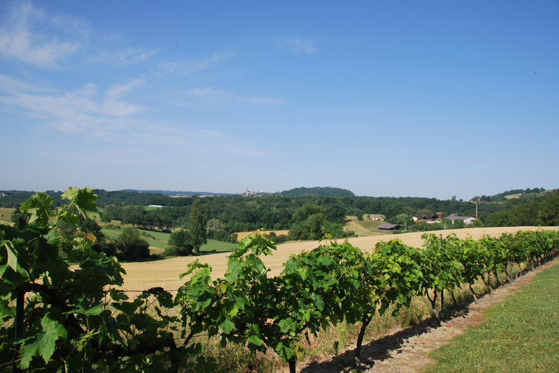 Maison - 308 m² - 7 pièces