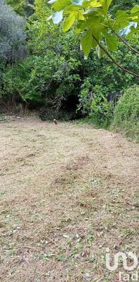 Terrain agricole - 9 300 m²