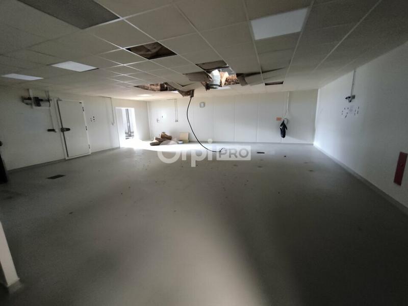 Local d'activité / Entrepôt - 1 500 m²