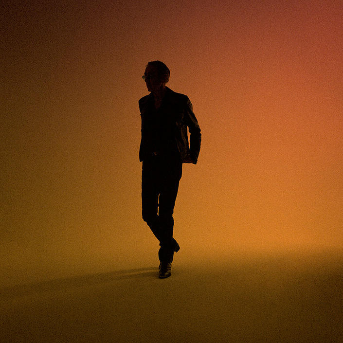 Alain Chamfort: l'impermanence