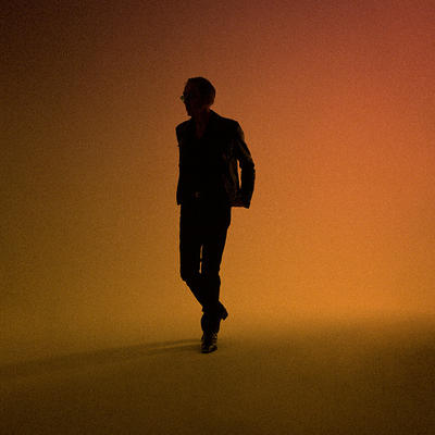 Alain Chamfort: l'impermanence