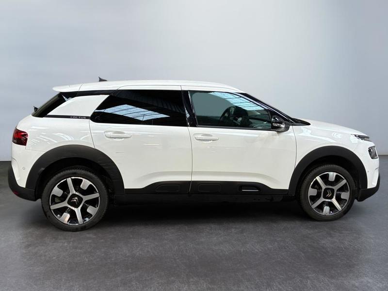 Citroën C4 Cactus Business PureTech 110 s&amp;S Bvm6 Shine