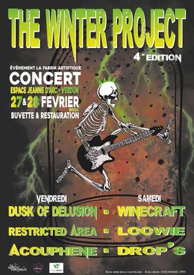 Festival the winter project