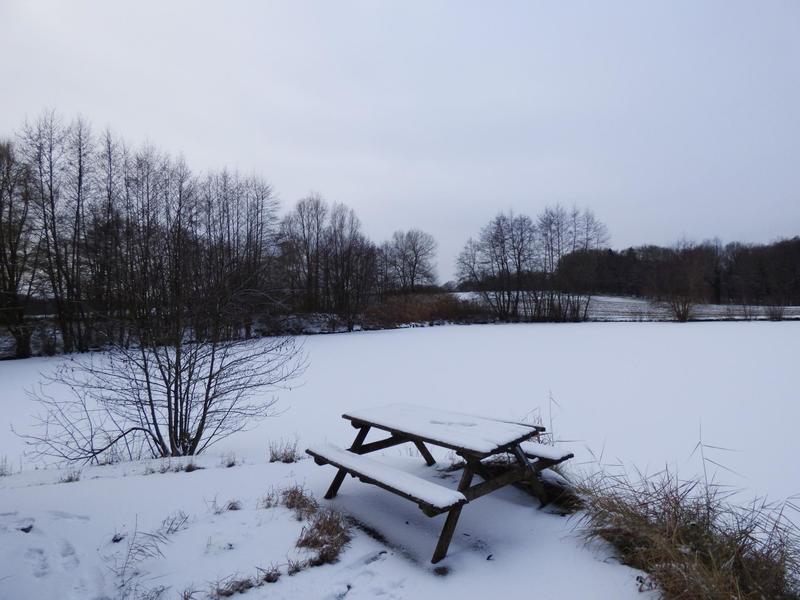 Terrain - 13 730 m²