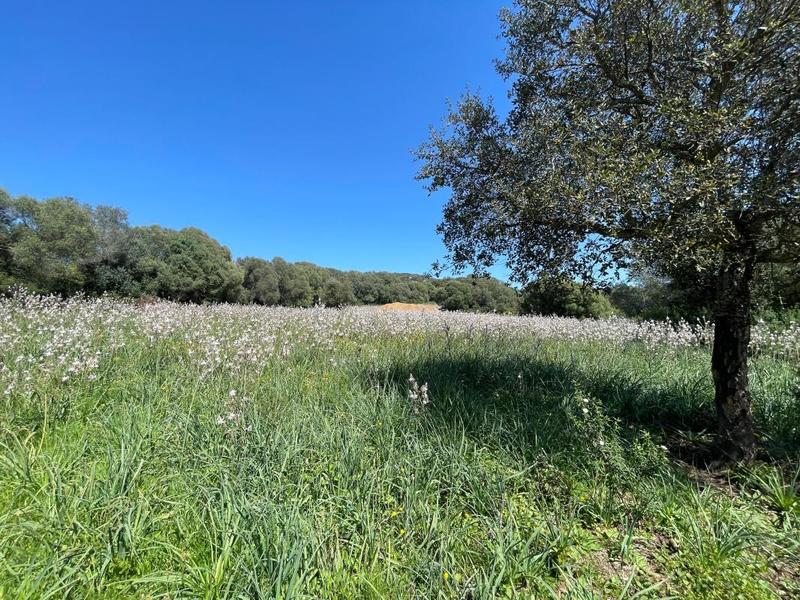 Terrain constructible - 12 588 m²