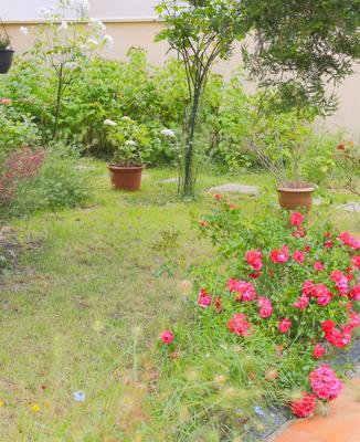 Maison - 263 m² - 11 pièces