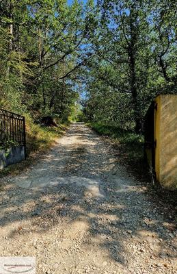 Terrain inconstructible - 1 763 m²