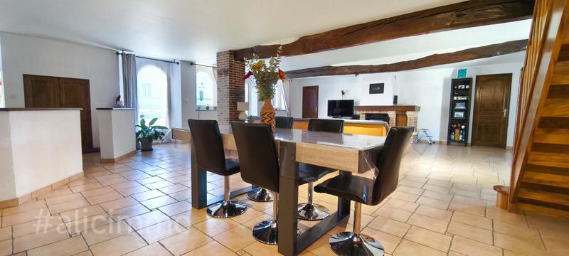 Maison - 300 m² - 8 pièces