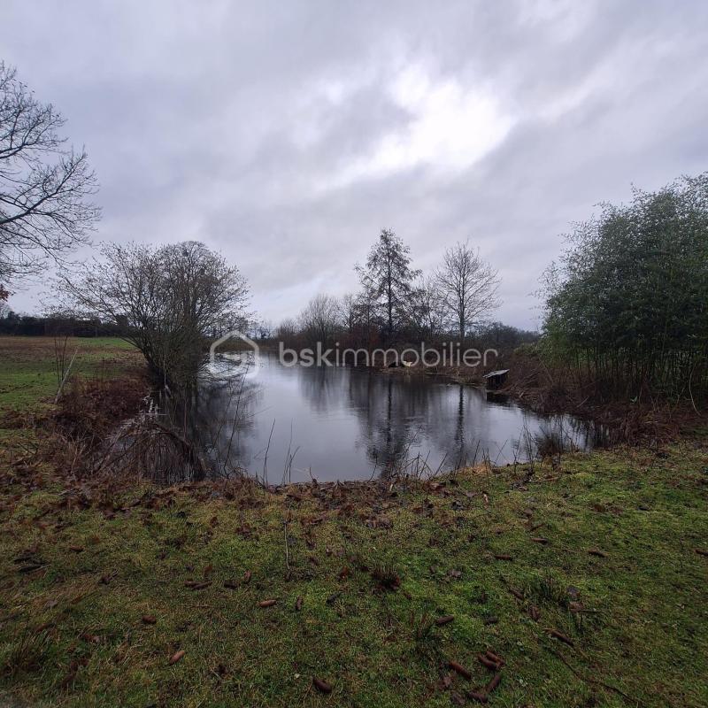 Maison en pierre - 159 m² - 6 pièces