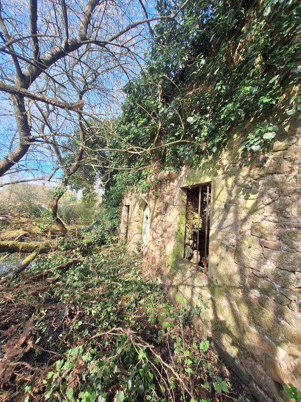 Terrain de loisirs - 775 m²