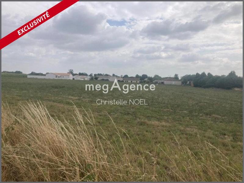 Terrain constructible - 10 000 m²