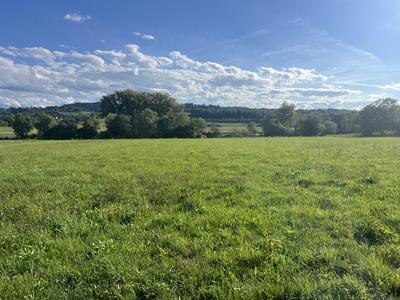 Terrain constructible - 6 119 m²