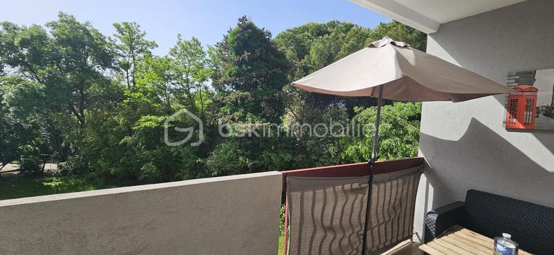 Appartement - 31 m² - 1 pièce