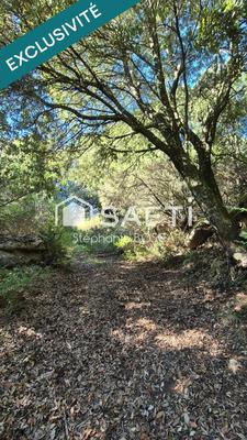 Terrain - 3 800 m²
