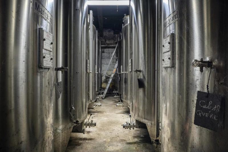 Propriété viticole - 366 m² - 10 pièces