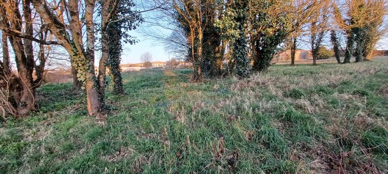 Terrain constructible - 4 812 m²