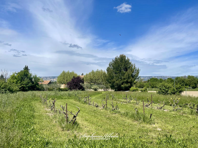 Mas - 250 m² - 7 pièces