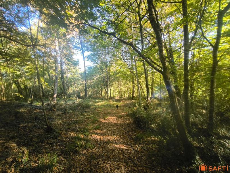 Maison - 248 m² - 9 pièces