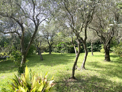 Propriété - 349 m² - 12 pièces