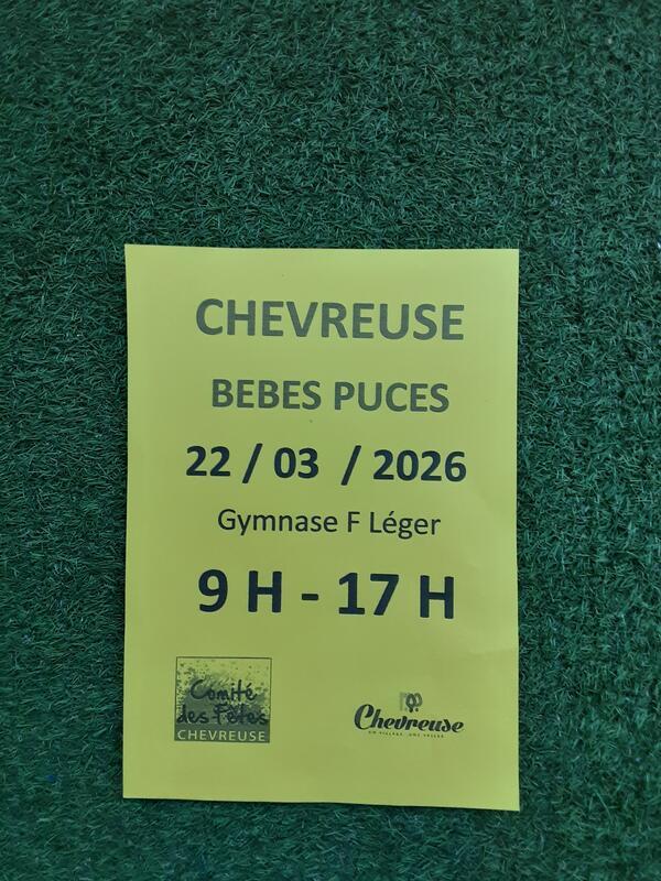 Bébé puces