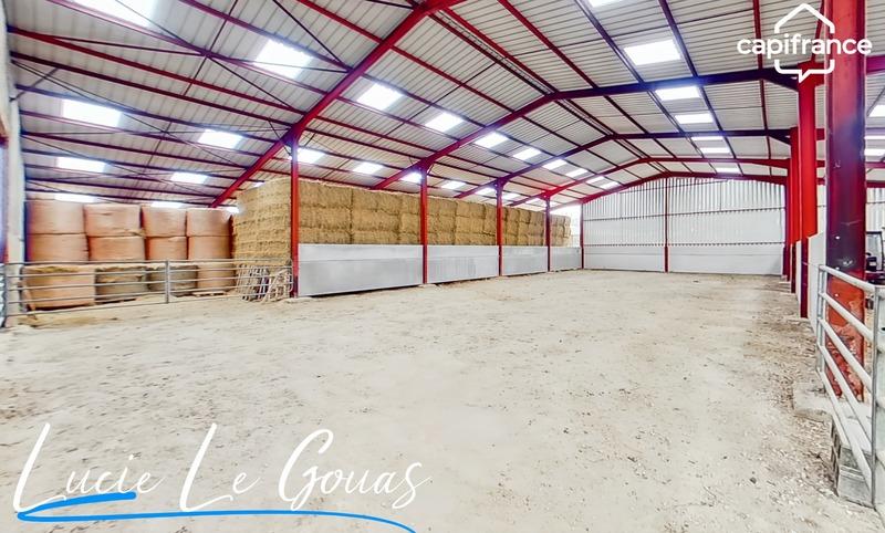 Haras - 239 m² - 9 pièces