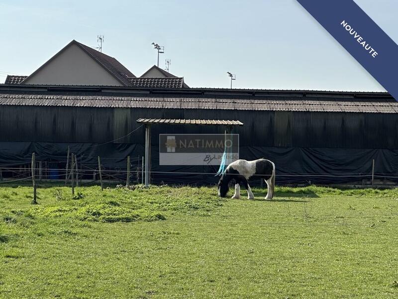 Maison de campagne - 120 m² - 5 pièces
