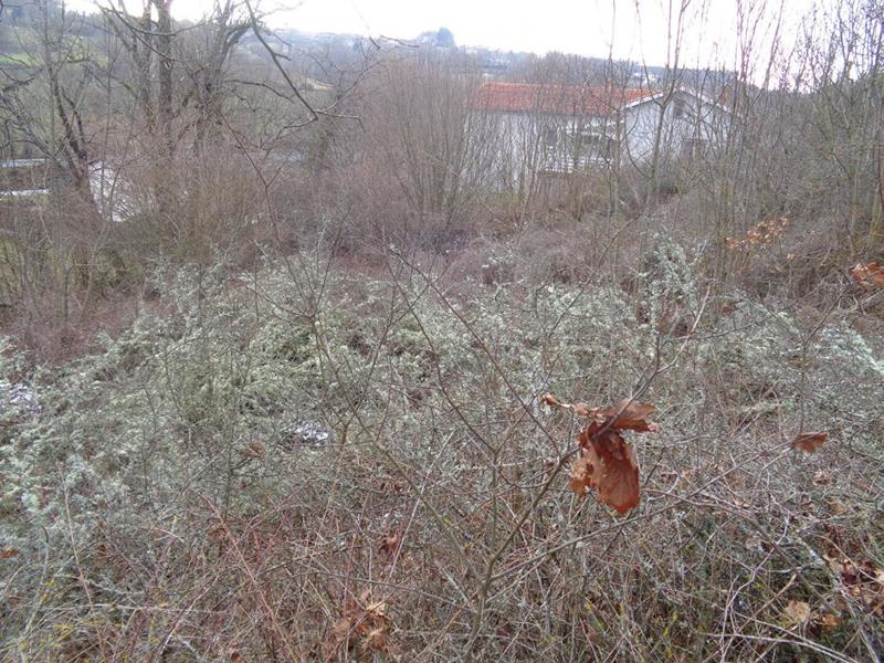 Terrain constructible - 931 m²
