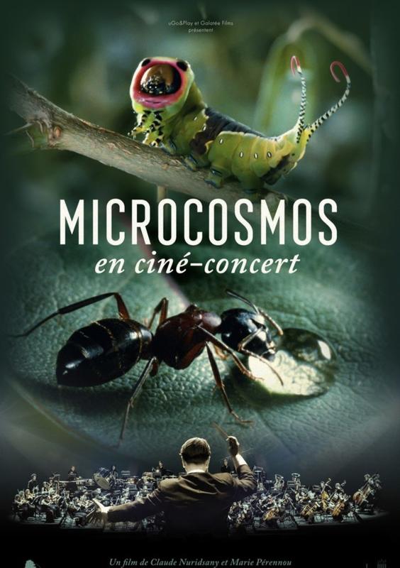 Ciné concert Microcosmos, le peuple de l'herbe
