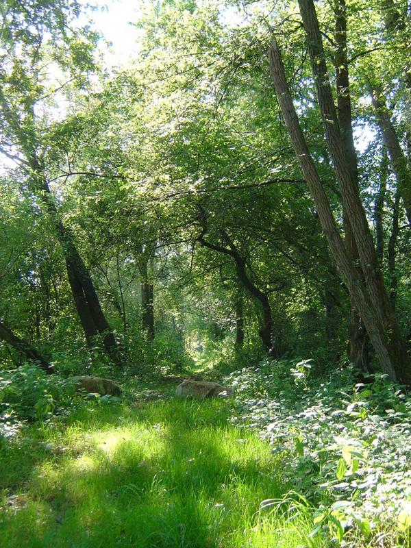 La balade gourmande du Ried