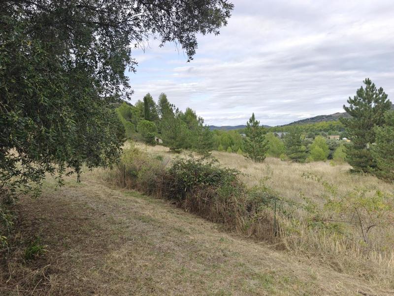 Terrain constructible - 8 095 m²