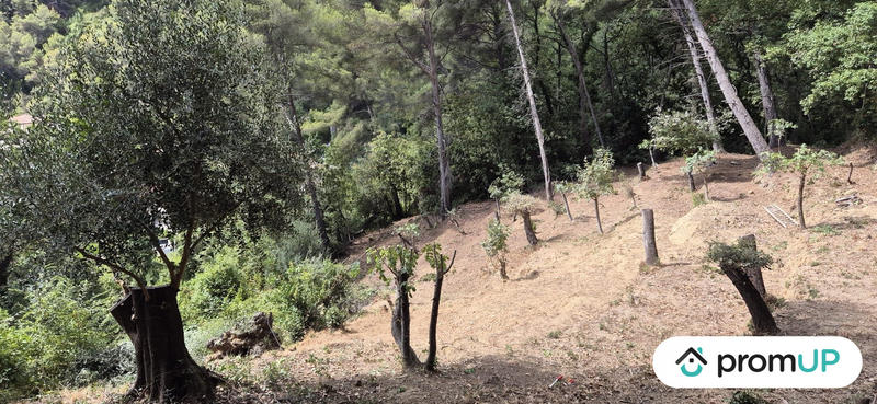 Terrain de loisirs - 2 048 m²