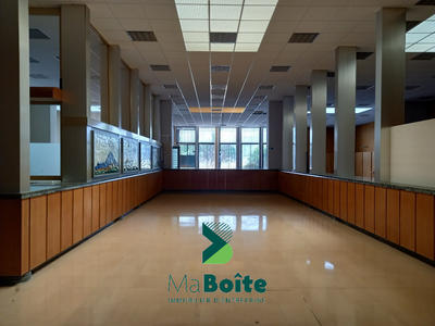 Local d'activités - 700 m²