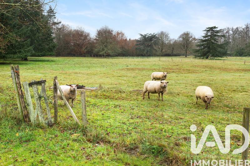 Maison - 122 m² - 7 pièces