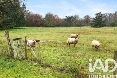 Maison - 122 m² - 7 pièces