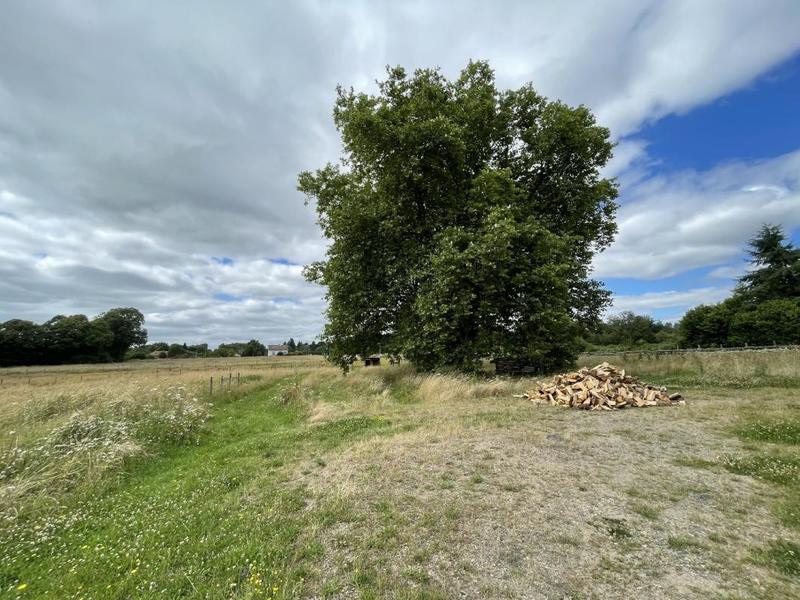 Maison ancienne - 163 m² - 5 pièces