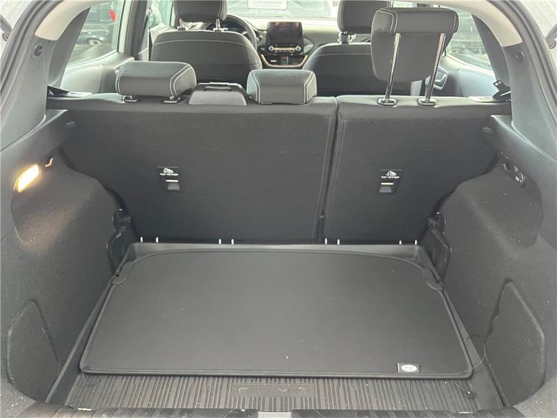 Ford Puma II 1.0 Flexifuel 125 Ch Mhev s&amp;S Bvm6 Titanium