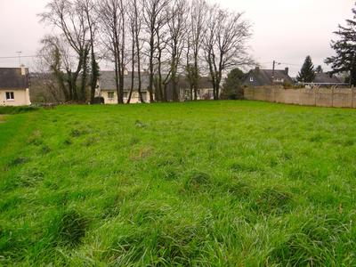 Terrain - 1 364 m²