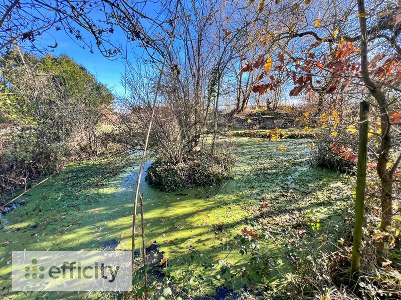 Maison en pierre - 380 m² - 8 pièces