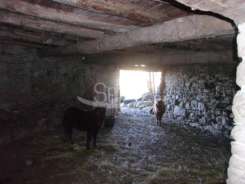 Propriété - 295 m² - 10 pièces