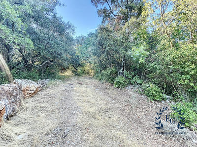 Terrain de loisirs - 20 020 m²