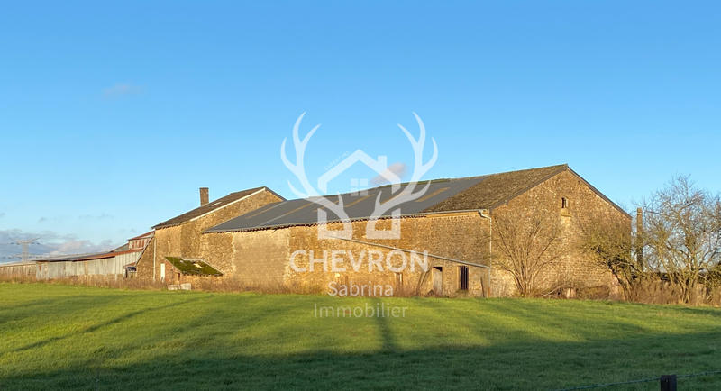 Maison - 494 m² - 10 pièces