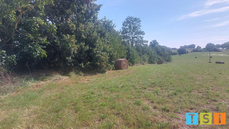 Terrain constructible - 5 900 m²